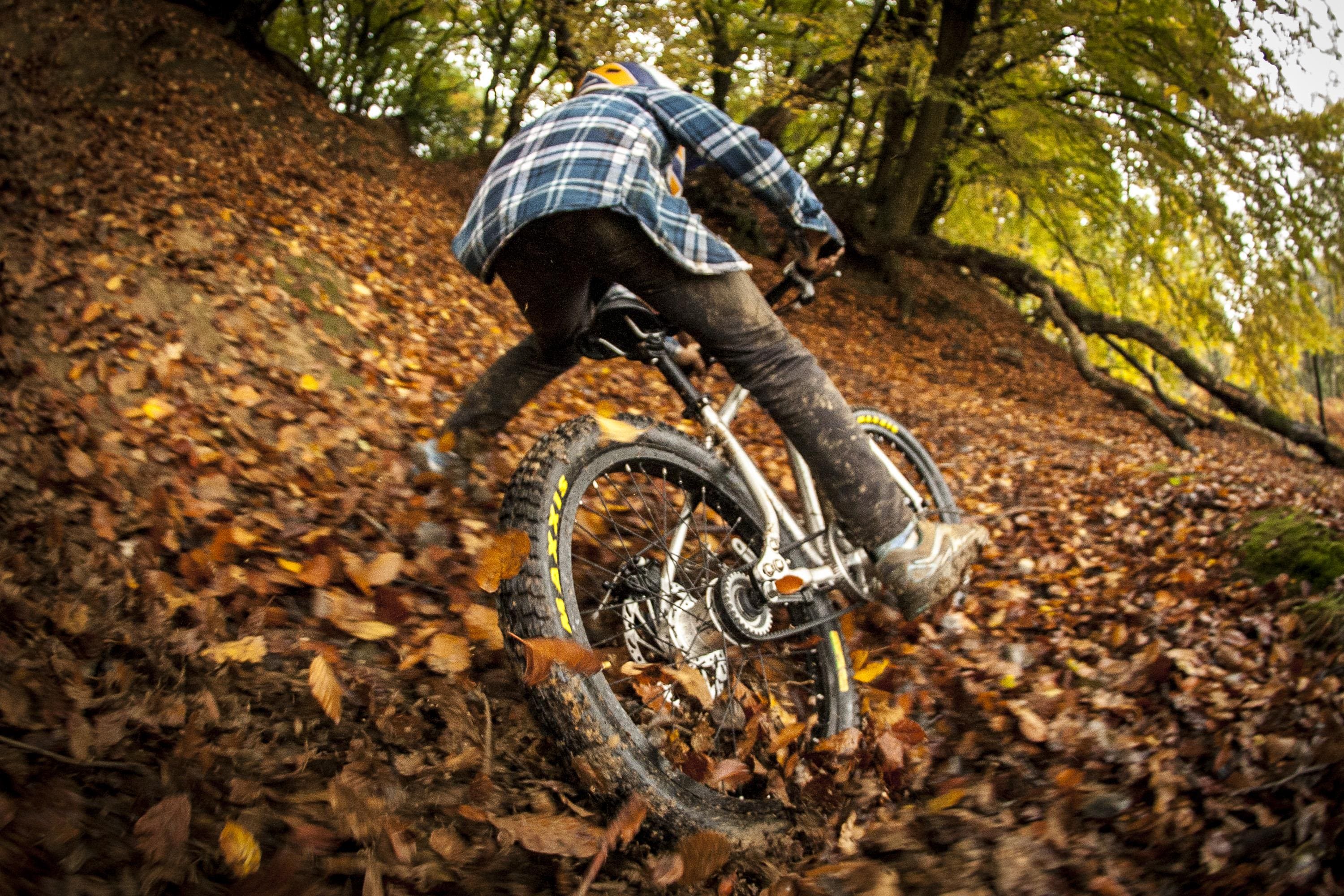 Early rider belter 20 trail cheap